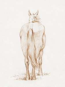 Stehendes Pferd (1815) von Jean Bernard von Jean Bernard