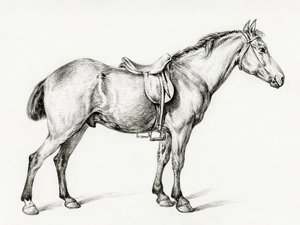 Stehendes Pferd von Jean Bernard (1775–1883) von Jean Bernard