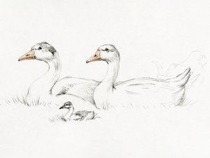 Zwei Gänse mit einem Jungen (1775–1833) von Jean Bernard