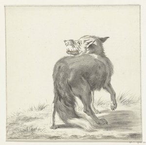 Fuchs