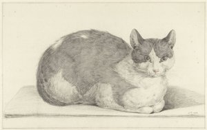 Sitzende Katze, nach rechts von Jean Bernard