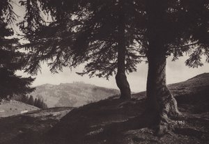 Rigi Staffel, Spazierweg bei Staffel von Jean Gaberell