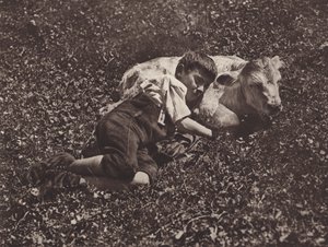 Schweiz: Siesta von Jean Gaberell