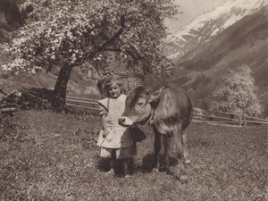 Schweiz: Die jüngere Generation