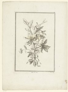 Blumenstrauß mit Lilie von Jean Jacques Avril (I)
