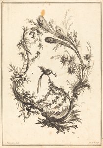 Ornament mit einem Pfau von Jean Jacques Avril I after Jean Baptiste Pillement