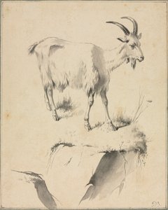 Studie einer Ziege, 1700er