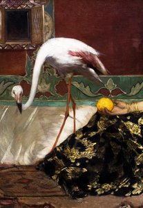Der rosa Flamingo (Detail)