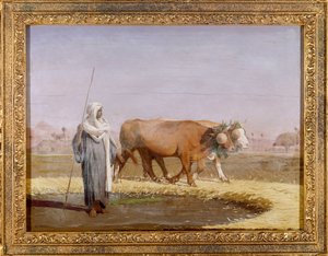 Weizen dreschen in Ägypten