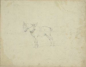 Zugpferd von Jean Louis André Théodore Géricault