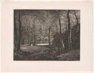 Der Wald von Rochecardon