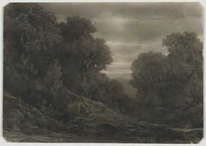 Landschaft mit Bäumen