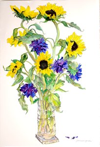 Sonnenblumen Astern