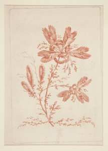 Ohne Titel (Ideale Blumen), aus einem Satz von sechs
