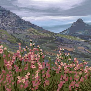 Rosa Blumen Bergblick