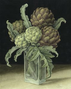 Artischocke von Jenny Barron