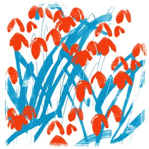 Rote Schneeglöckchen von Jenny Frean