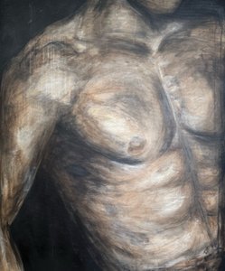 Muskulöser männlicher Torso