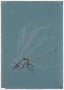 Studie von Beinen und Füßen für das Porträt von Madame de Prangins von Jens Juel