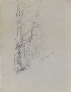 Trockener Bach, 1888