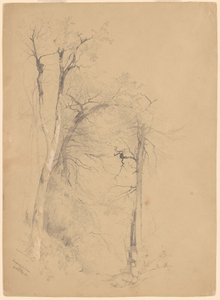 Kauterskill-Schlucht von Jervis McEntee