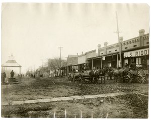Arkansas 1903 von Jessie Tarbox Beals