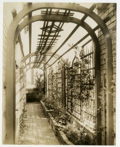 Hintergarten von Mrs Regina Jais, ca. 1936-37