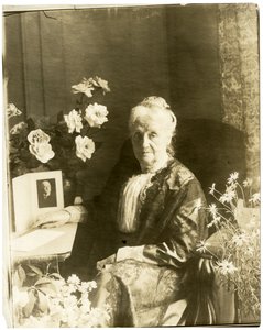 Mrs Greenwich Horne? von Jessie Tarbox Beals