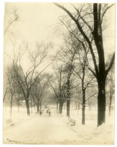 The Common, Boston, USA, ca. 1902-10 von Jessie Tarbox Beals