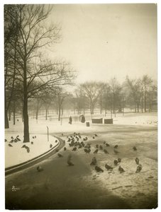 Ungewöhnlich kalt im Common, Boston, USA, ca. 1902-10 von Jessie Tarbox Beals