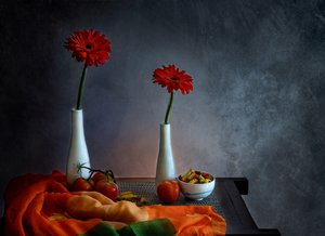 Rote Gerbera Stillleben