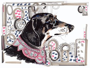 Lacey der Dackel, 2013