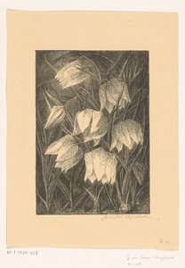 Schachblumen von Jo van Oosten Slingeland (signed by artist)