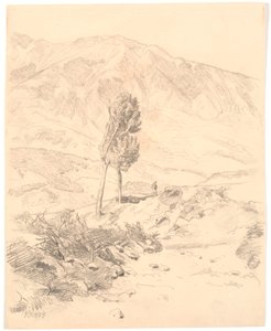 Italienische Berglandschaft mit zwei Bäumen