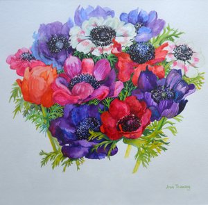 Anemonen: rot, weiß, pink und lila, 2000