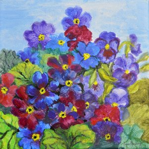 Blaue Primeln