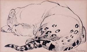 Skizze, Leopard, Londoner Zoo, 2005 von Joan Thewsey