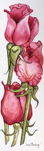 Drei rote Rosen