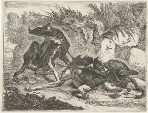 Zwei Hunde (Honden)