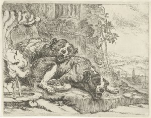 Zwei liegende Hunde