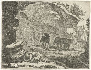 Vier Hunde bei einer Ruine