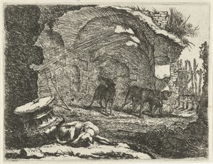 Vier Hunde bei einer Ruine