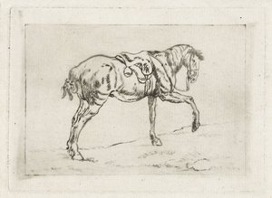 Gesatteltes Pferd