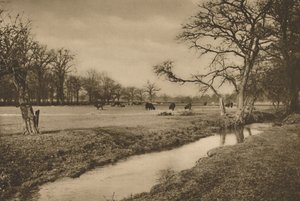 Wo der Beverley Brook durch den königlichen Jagdpark von Richmond fließt