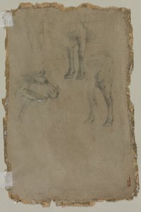 Studien eines Stiers, 1864