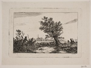 Landschaft