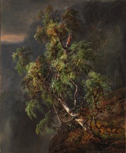 Birkenbaum im Sturm von Johan Christian Dahl