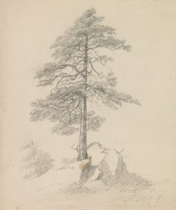Kiefer und Klippen von Johan Christian Dahl