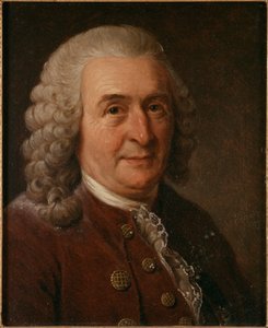 Porträt von Carl Linnaeus 1707-1778, 1827 von Johan Gustaf Sandberg