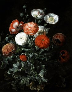 Exotische Mohnblumen. von Johan Laurents Jensen